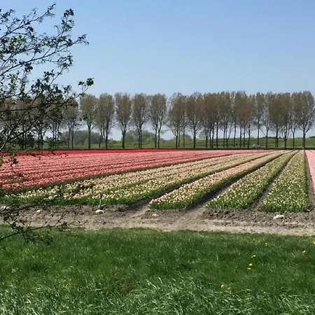 Rekerlanden 97 Schoorldam