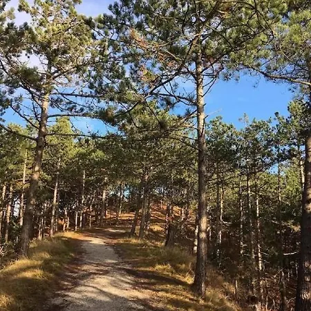 Rekerlanden 97 Holiday park *