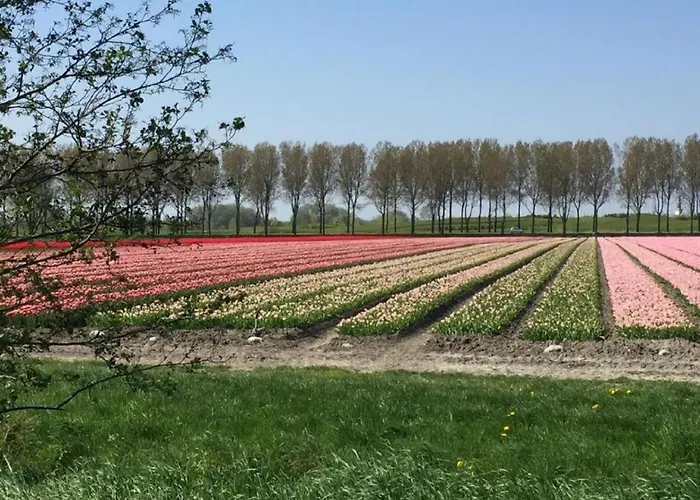 Rekerlanden 97 Schoorldam